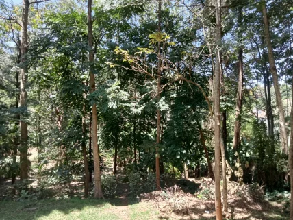 Residential Land for sale in Kyuna, Westlands