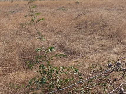 Residential Land for sale in Nanyuki, Laikipia
