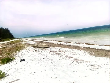 Thumbnail 15
