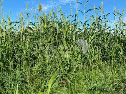 Residential Land for sale in Embu